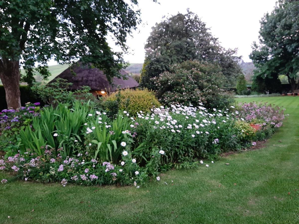 Rosedale Self Catering Cottage With Pool And Large Entertainment Bbq Area Henburg Park Exterior photo