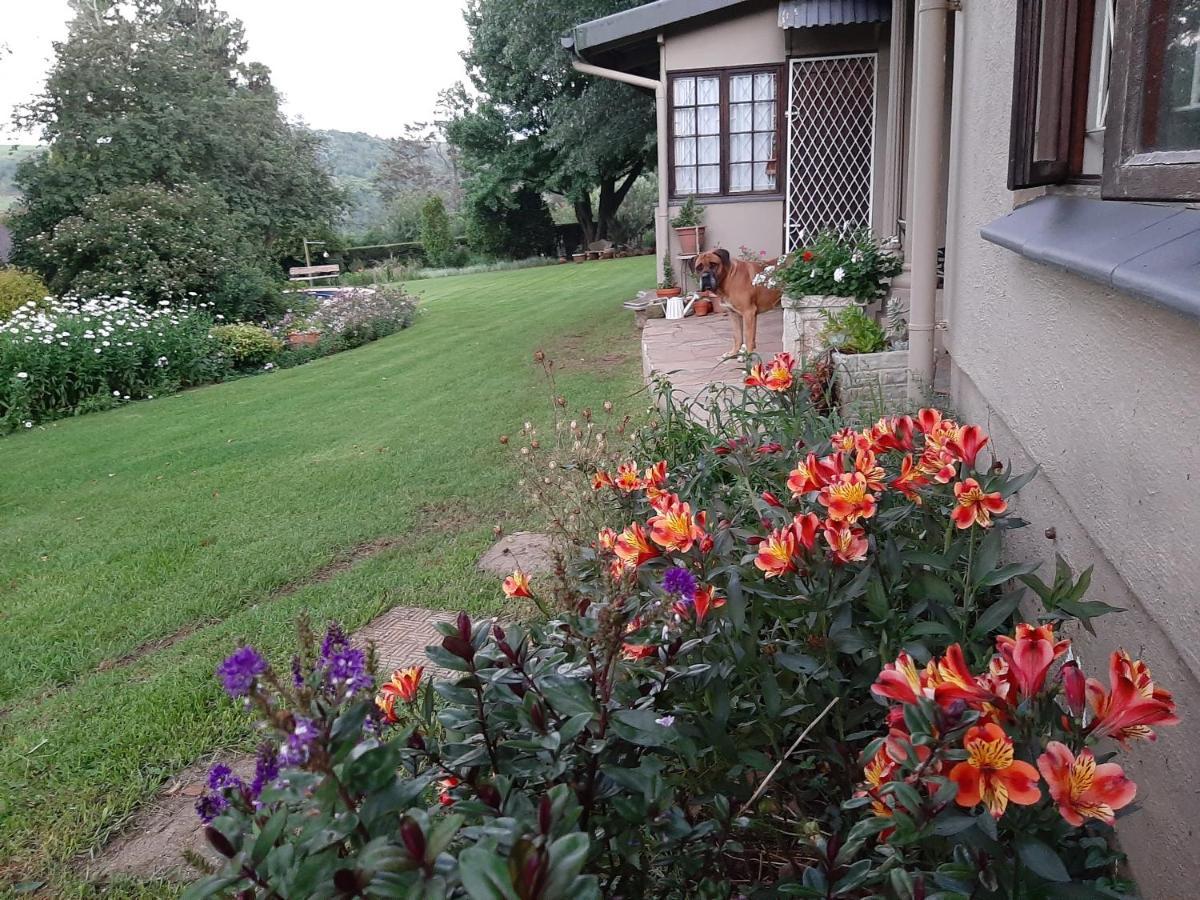 Rosedale Self Catering Cottage With Pool And Large Entertainment Bbq Area Henburg Park Exterior photo