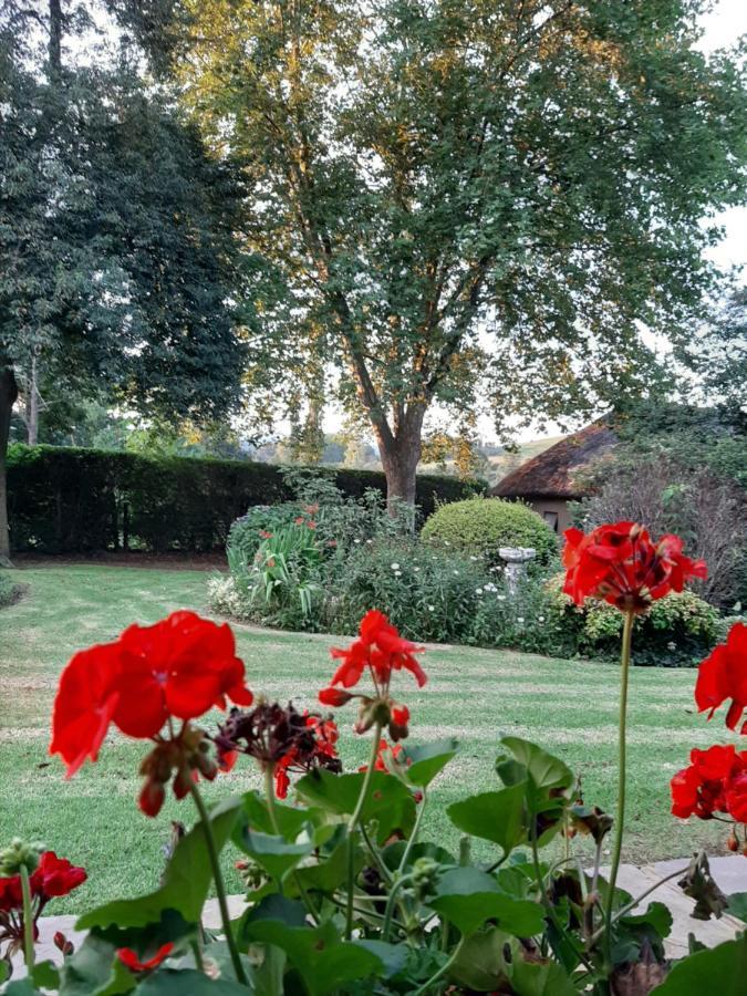 Rosedale Self Catering Cottage With Pool And Large Entertainment Bbq Area Henburg Park Exterior photo